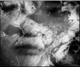 hiroseyokushiroku2016