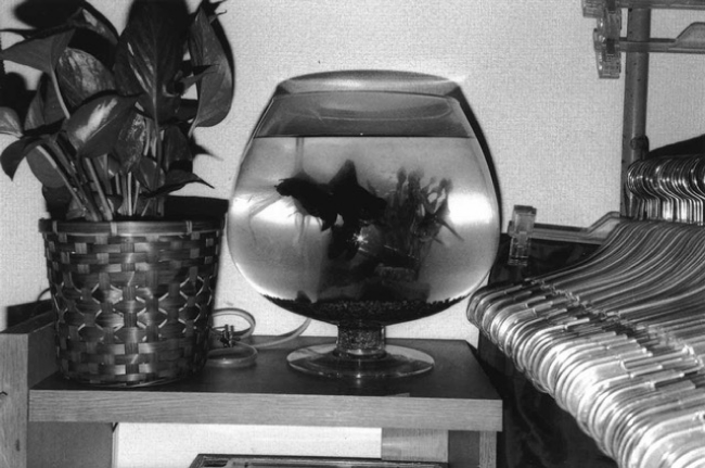 DanEpthorpUserConsumer191