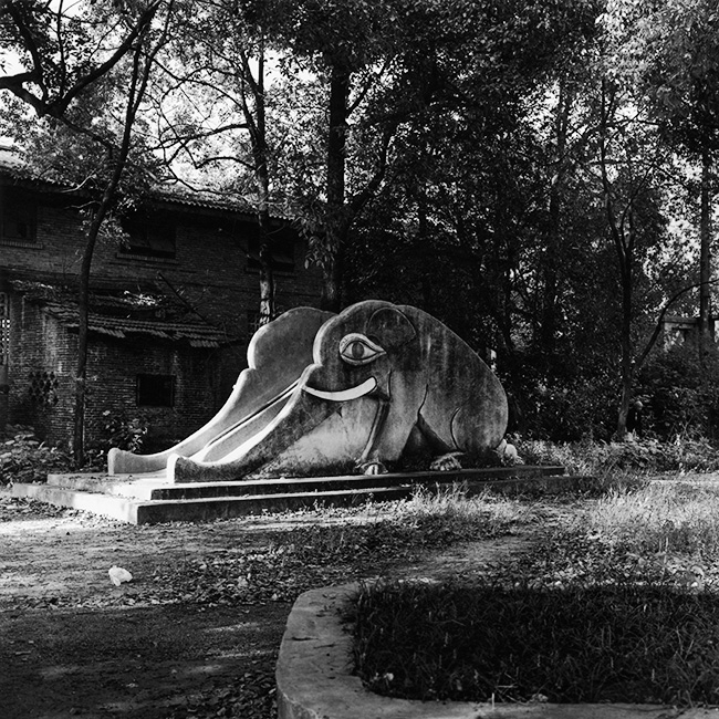 YangYuwenNigatsuyuki