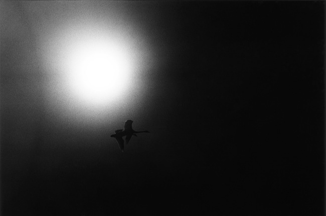 MatsuiHirokiKitakaze