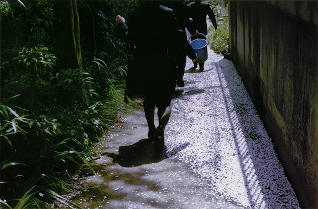 morohoshitsuchinikaere