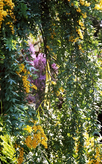 KondoMidoriweareinvisible