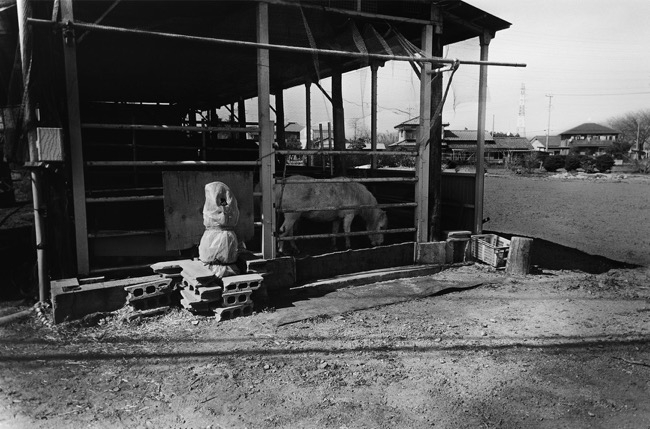 AizawaRyoIDLECOLLAGECRITIQUE2