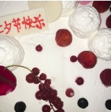 wanchaofan01observingobjects