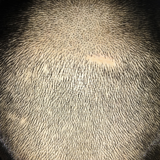 wanchaofan02observingobjects