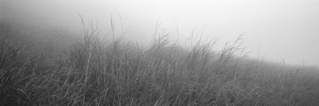 wanchaofanBURNINGINTHESTONE02