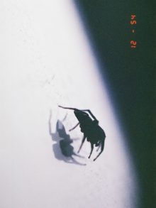 Don’t look at me like that.