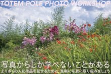 TOTEM POLE PHOTO WORKSHOP 第五期受講生募集