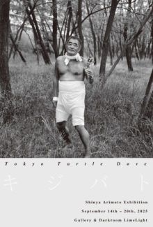 Tokyo Turtle Dove 1-2