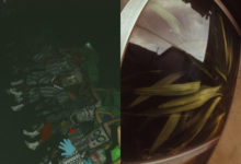 An Uncut Umbilical Cord